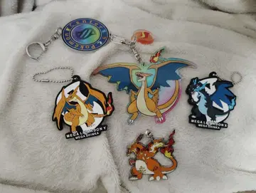 리자몽 메가진화 아크릴 키링, 아크릴 스탠드 및 굿즈 세트