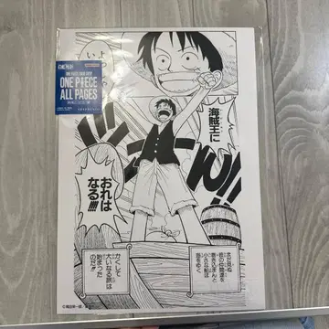 원피스 베이스샵 한정판 ONE PIECE ALL PAGES 루피