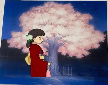 e54 카드캡터 사쿠라 애니메이션 셀화 [치요짱] 동영상 배경화 포함