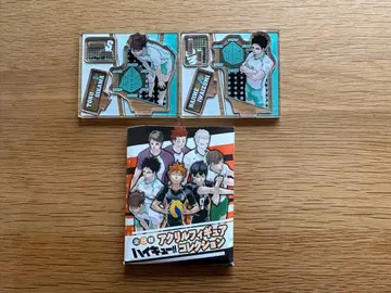 하이큐 아크릴 피규어 컬렉션 오이카와 이와이즈미