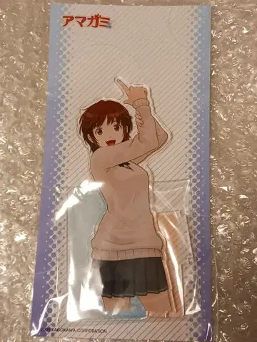 아마가미 사쿠라이 리호코 아크릴 스탠드 15th 전기 거리 축제