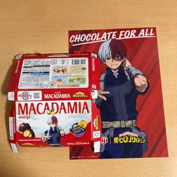 나의 히어로 아카데미아 히로아카 토도로키 쇼토