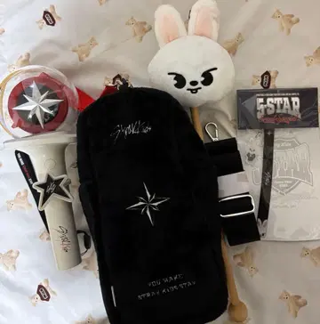 Strayk Kids 묶음 판매 Lee know 굿즈 5STARS VIP