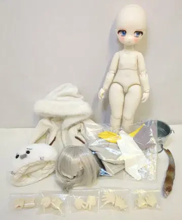 Tiny Fox 1/6JOINT DOLL 노미