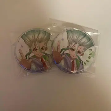 Dr.STONE 센쿠 전기의 과학관 캔뱃지 2개 세트