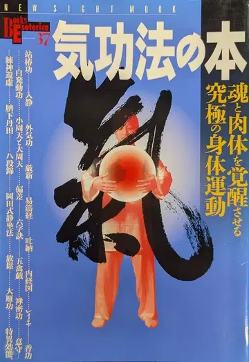 학습연구사 북스 에소테리카 기공법 도서 37