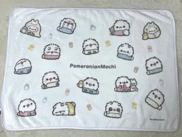 포메라니안 찹쌀떡 담요 ver. 아기