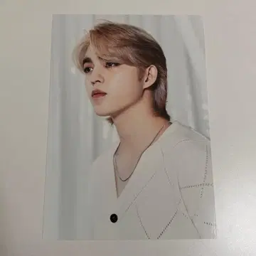 세븐틴 seventeen BE THE SUN 에스쿱스 미니 포스터