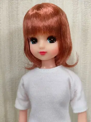 리카짱 캐슬 리카짱