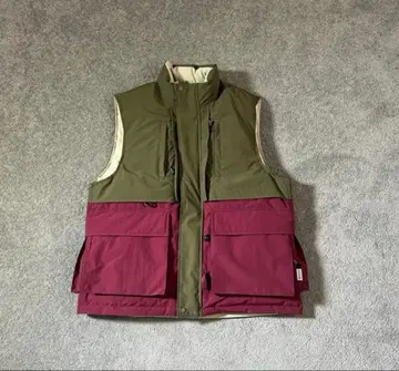 DAIWA PIER39 TECH LOGGER MOUNTAIN DOWN L