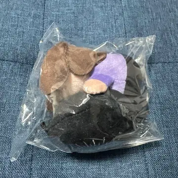 키타니 타츠야 탓쨩 클립