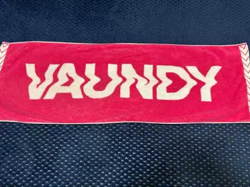 Vaundy 로고 타월 핑크