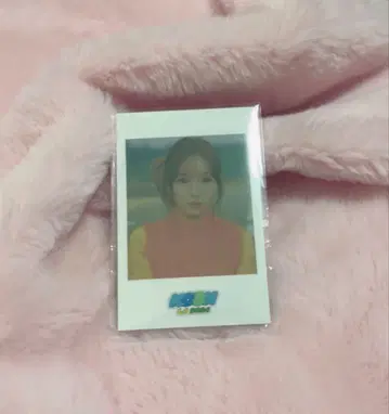 미아이 야마모토 스즈 LA 폴로라이드