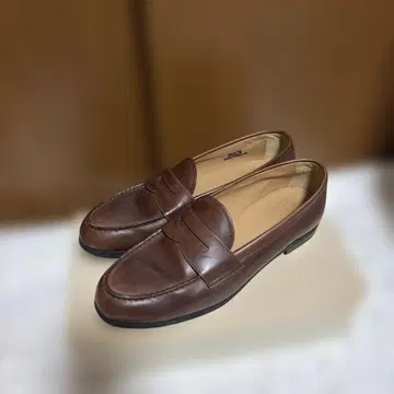 처치스 브라운 로퍼