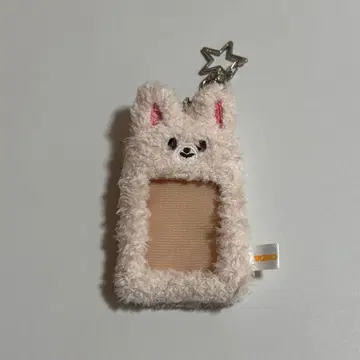 Straykids SKZOO 폭시니 ID 케이스