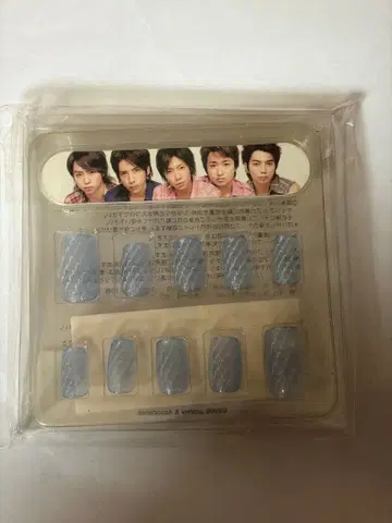 아라시 네일 칩 2006년