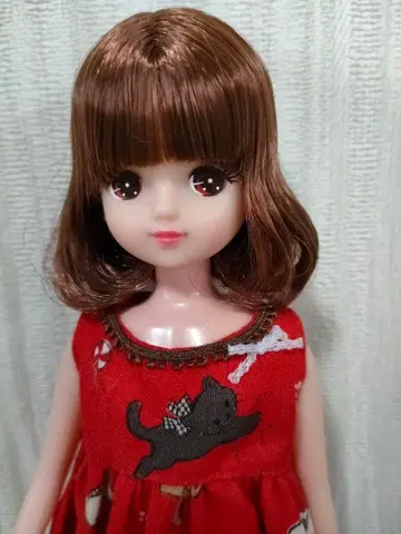 리카짱 캐슬 키라짱 ESC 인형