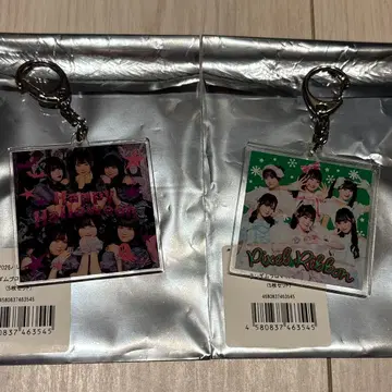 pixelribbon 시크릿 아크릴 키링 2개 세트