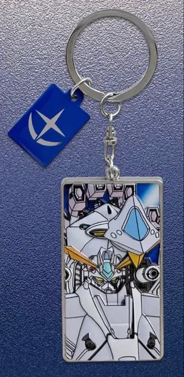 섬광의 하사웨이 알리 제우스 메탈 키링