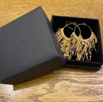 이오세리아니 비쥬 프린지 디자인 후프 귀걸이