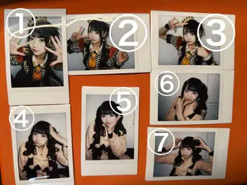 코구마 마무 란 폴라로이드