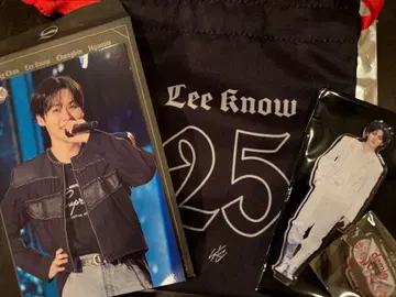 리노 세트 stray kids VR