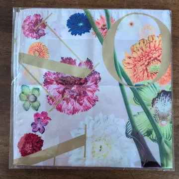 피그말리온 스카프 사와지리 에리카