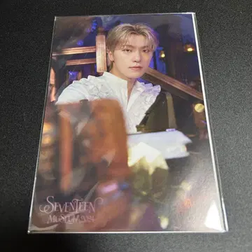 디노 엽서 세트