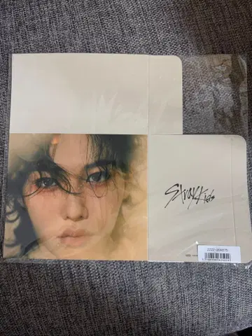 Stray Kids Hallow 앨범 묶음 구매 혜택