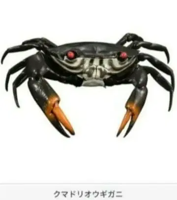 반다이 가샤폰 생물대도감 어드밴스 쿠마도리오오기가니 가챠