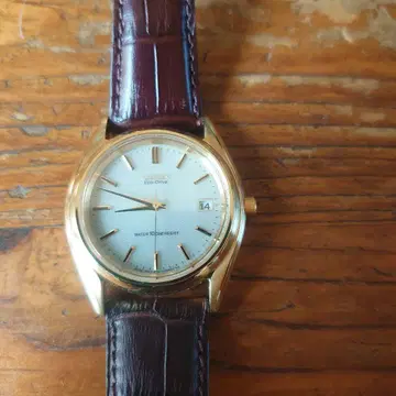 시티즌 에코드라이브