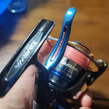 다이와 배틀 게임 2000 LBD 스피닝 릴