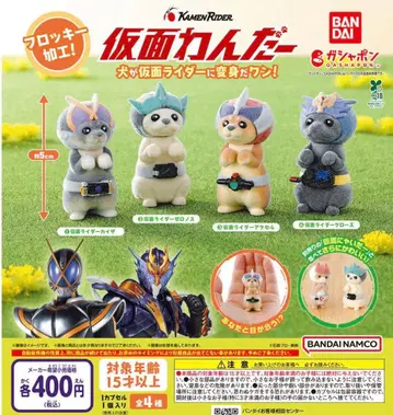 가면 완다 전 4종 풀컴프