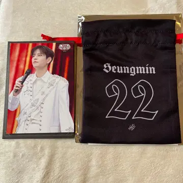 straykids 스키즈 VR 승민