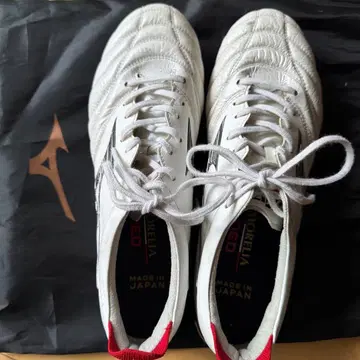 모렐리아 네오 4 JAPAN MIX