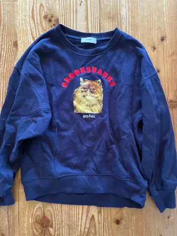 Harry Potter 크룩샹크스 트레이닝복 F