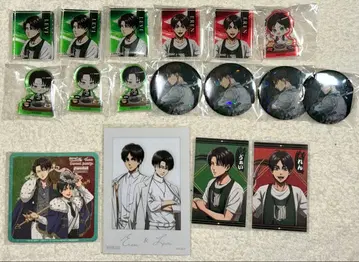 진격의 거인 리바이 캔뱃지 엘렌 에스크리 싸우는 등 쥬쥬카르비