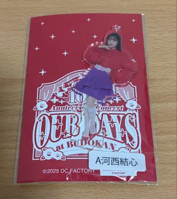 츠바키 팩토리 카사이 유신 무도관 아크릴 스탠드 키링 아크스타