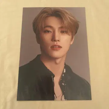 SEVENTEEN 디노 포토 카드 포스터 HMV