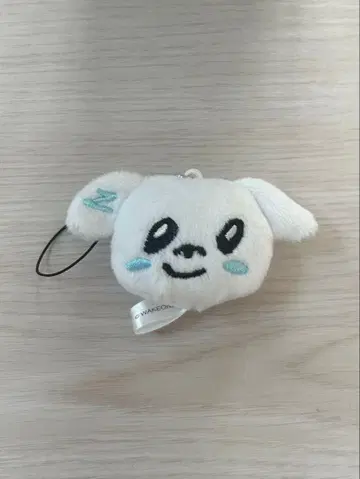 zb1 제베원 규빈 규니니 랜덤 키링 앤 네이비