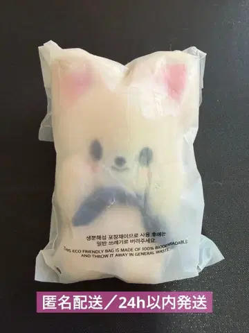 straykids SKZOO 폭시니