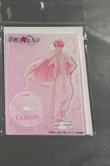 타몬 군 지금 어느 쪽 돈키호테 아크릴 스탠드 2