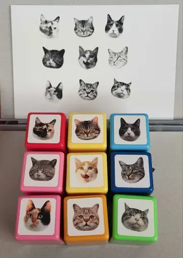 이와고 미츠아키 고양이 스탬프