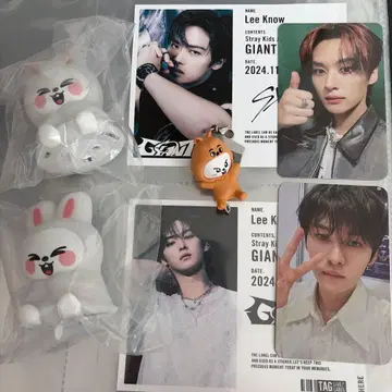 straykids 리노 skzoo 세트