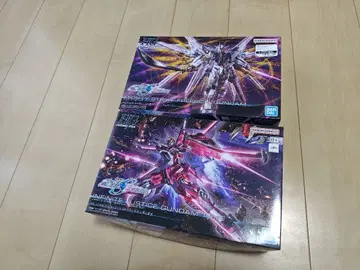 HG 마이티 스트라이크 프리덤, 인피니트 저스티스 건담 이식