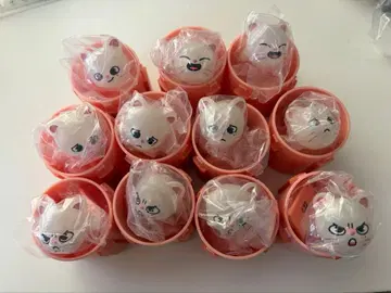 SKZOO 푹신푹신 벌스데이 클리어링 지니레트 현진