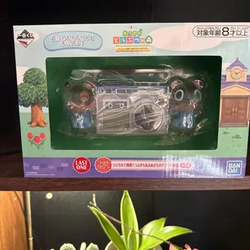 모여봐요 동물의 숲 라스트 원 라디오