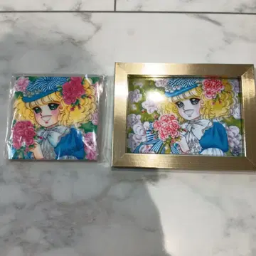 이가라시 유미코 미술관 내열 타일 & 사진 세트 2