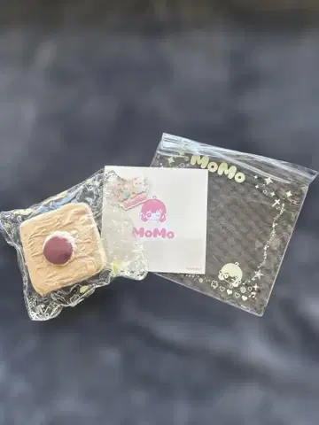 MOMO 스튜디오 케이크 시리즈