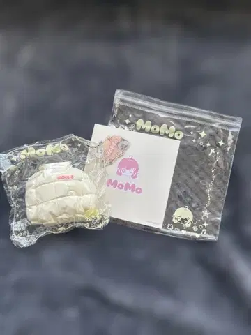 MoMo 스튜디오 겨울 시리즈